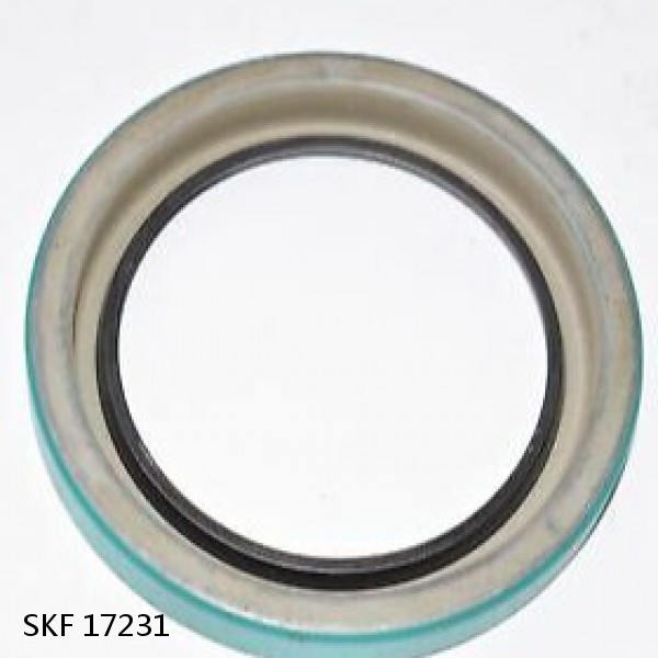 17231 SKF SKF SEAL