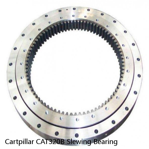 Cartpillar CAT320B Slewing Bearing