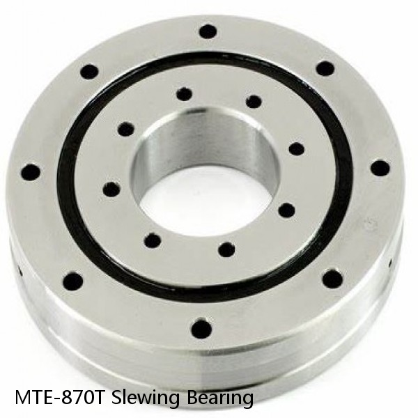 MTE-870T Slewing Bearing