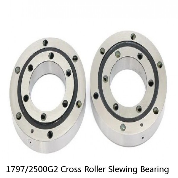 1797/2500G2 Cross Roller Slewing Bearing