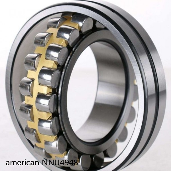 american NNU4948 DOUBLE CYLINDRICALROW BEARING #1 small image