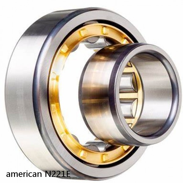 american N221E SINGLE ROW CYLINDRICAL ROLLER BEARING #1 small image