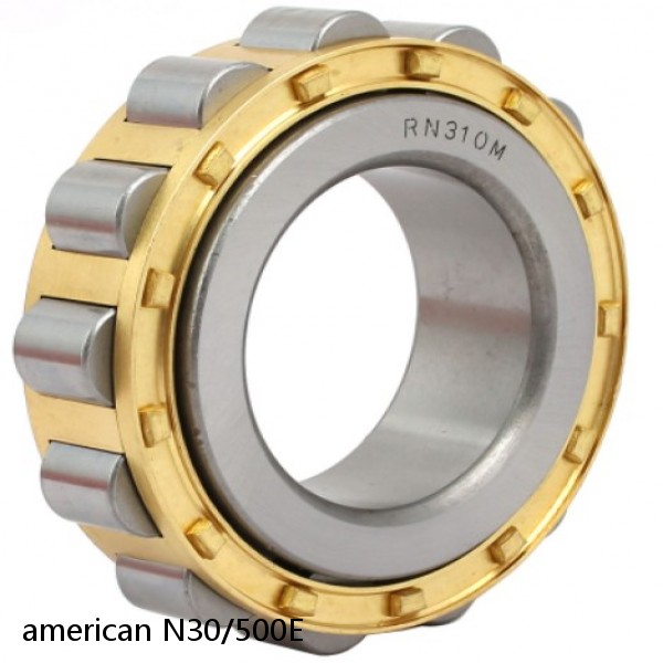 american N30/500E SINGLE ROW CYLINDRICAL ROLLER BEARING #1 small image