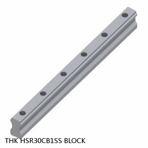 HSR30CB1SS BLOCK THK Linear Bearing,Linear Motion Guides,Global Standard LM Guide (HSR),HSR-CB Block