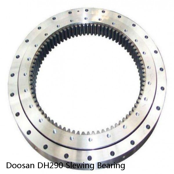 Doosan DH290 Slewing Bearing