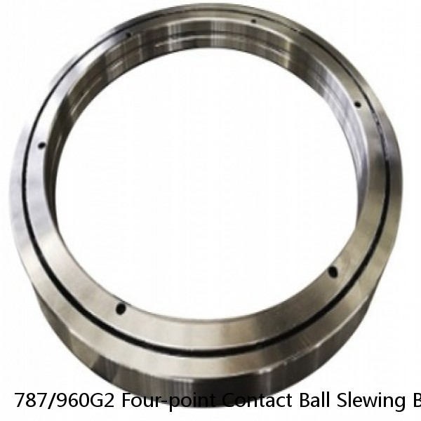 787/960G2 Four-point Contact Ball Slewing Bearing #1 small image