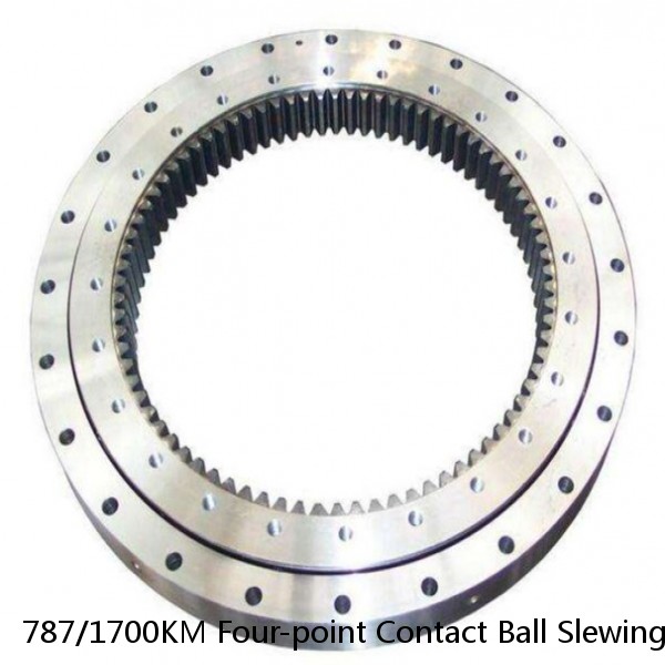787/1700KM Four-point Contact Ball Slewing Bearing #1 small image
