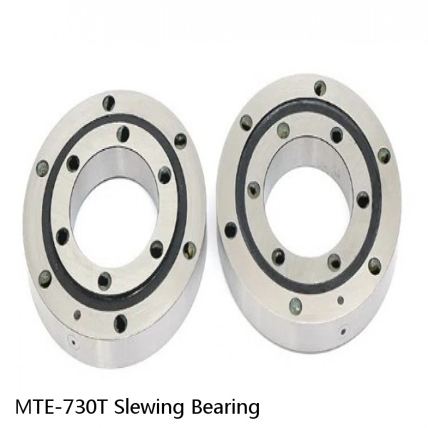 MTE-730T Slewing Bearing