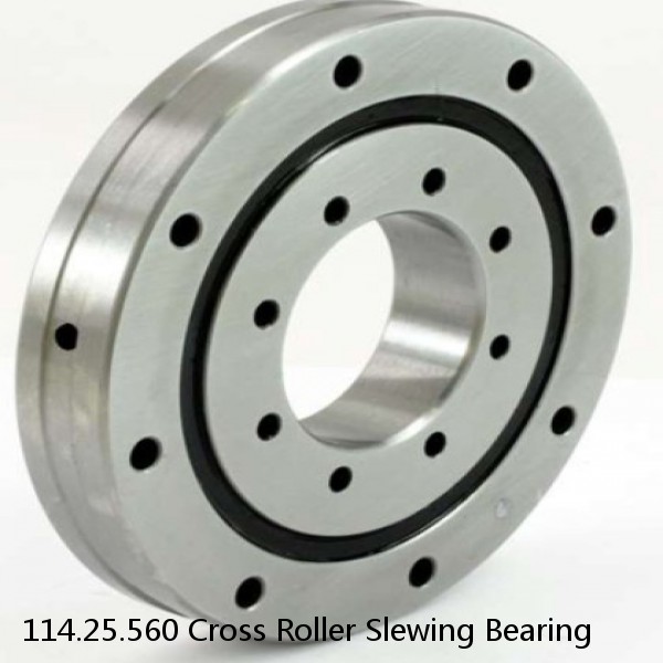 114.25.560 Cross Roller Slewing Bearing