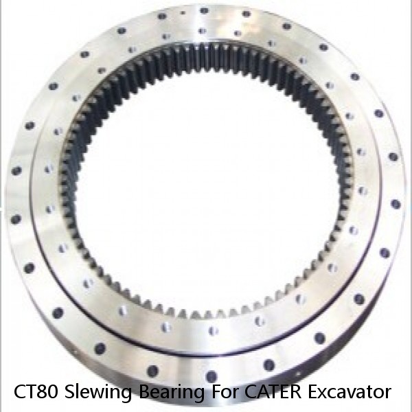CT80 Slewing Bearing For CATER Excavator #1 small image