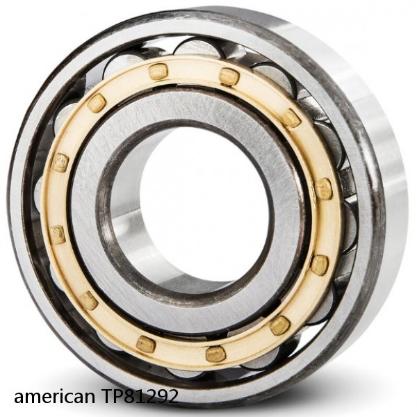american TP81292 CYLINDRICAL ROLLER BEARING #1 image