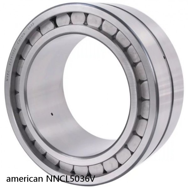 american NNCL5036V FULL DOUBLE CYLINDRICAL ROLLER BEARING #1 image