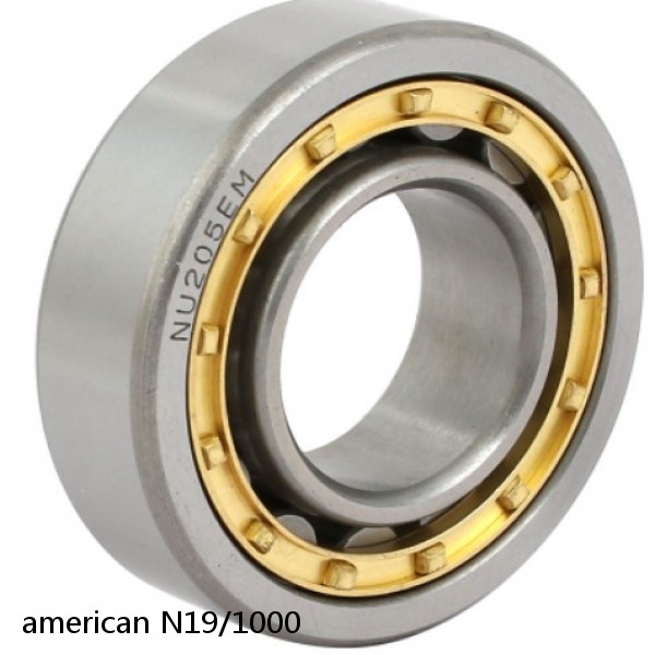 american N19/1000 SINGLE ROW CYLINDRICAL ROLLER BEARING #1 image