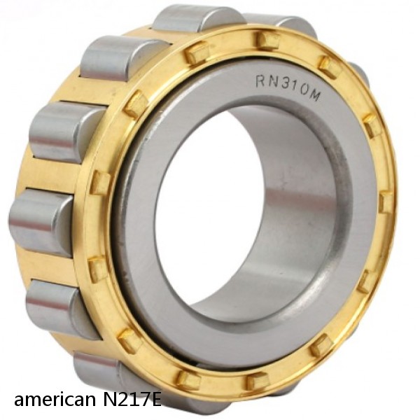 american N217E SINGLE ROW CYLINDRICAL ROLLER BEARING #1 image