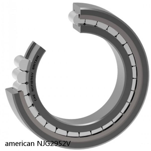 american NJG2952V FULL SINGLE CYLINDRICAL ROLLER BEARING #1 image