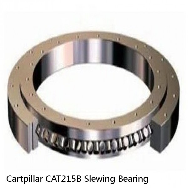 Cartpillar CAT215B Slewing Bearing #1 image