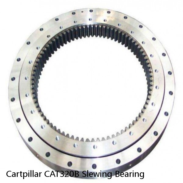 Cartpillar CAT320B Slewing Bearing #1 image