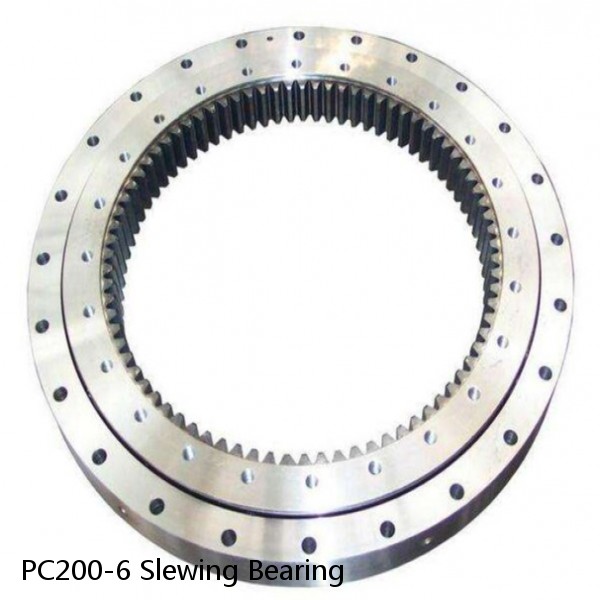 PC200-6 Slewing Bearing #1 image