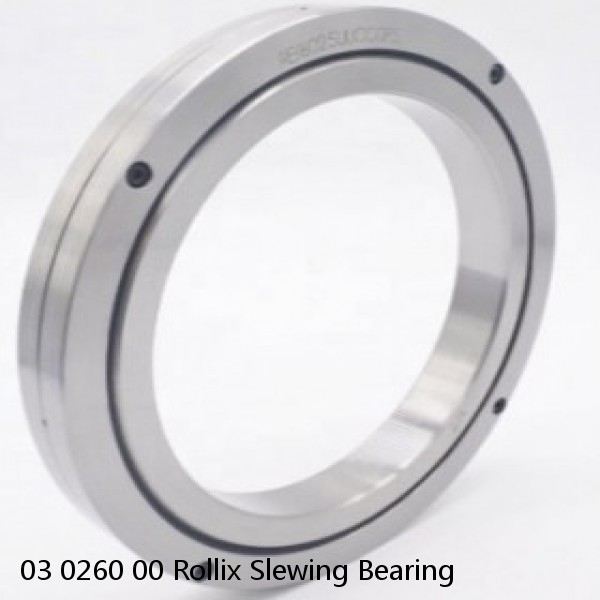 03 0260 00 Rollix Slewing Bearing #1 image