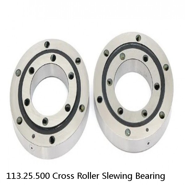 113.25.500 Cross Roller Slewing Bearing #1 image