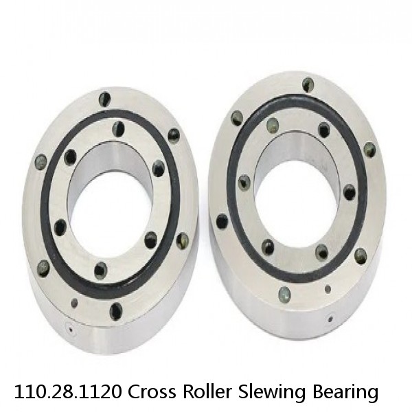 110.28.1120 Cross Roller Slewing Bearing #1 image