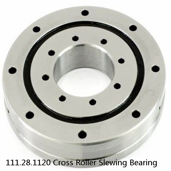 111.28.1120 Cross Roller Slewing Bearing #1 image