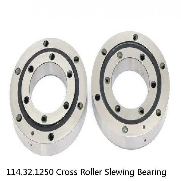 114.32.1250 Cross Roller Slewing Bearing #1 image