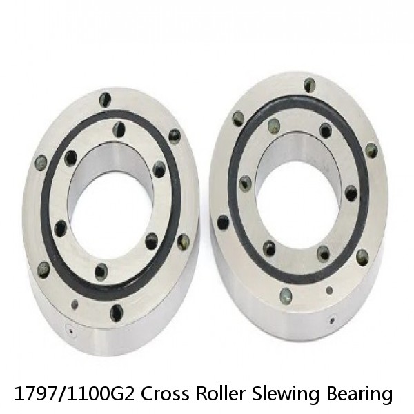 1797/1100G2 Cross Roller Slewing Bearing #1 image