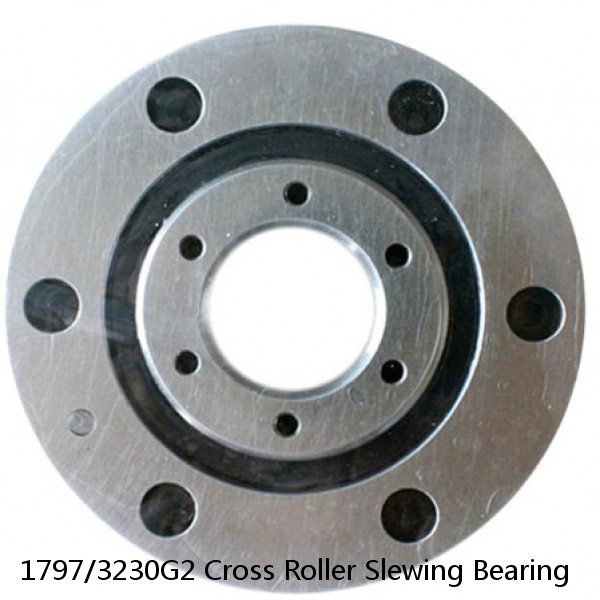 1797/3230G2 Cross Roller Slewing Bearing #1 image