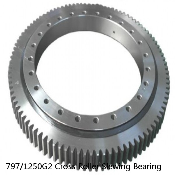 797/1250G2 Cross Roller Slewing Bearing #1 image