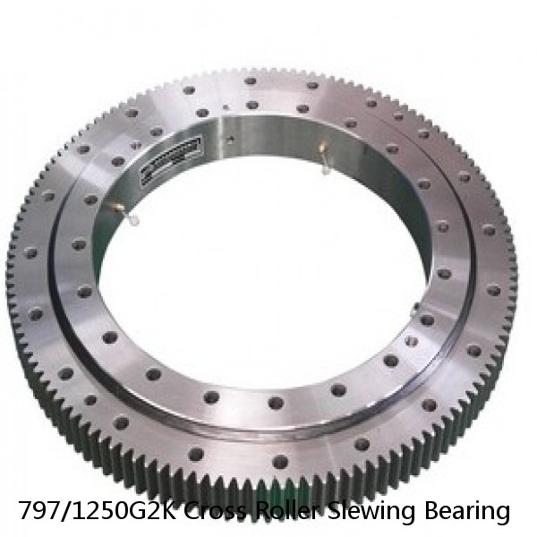 797/1250G2K Cross Roller Slewing Bearing #1 image