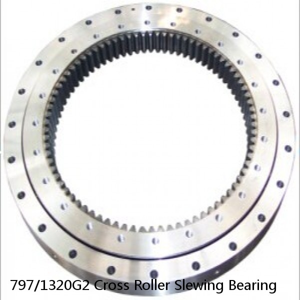 797/1320G2 Cross Roller Slewing Bearing #1 image