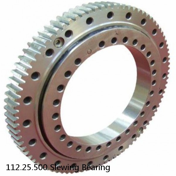 112.25.500 Slewing Bearing #1 image